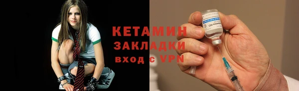 шишки Аркадак