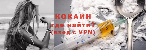шишки Аркадак